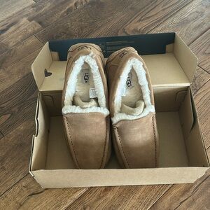 Men’s UGG Ascot slippers